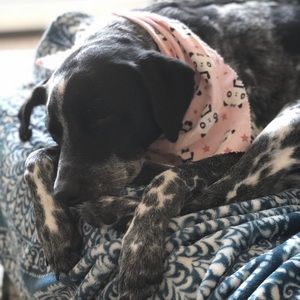 Meet your Posher, Sandra